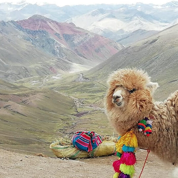 Caminata en Vinicunca